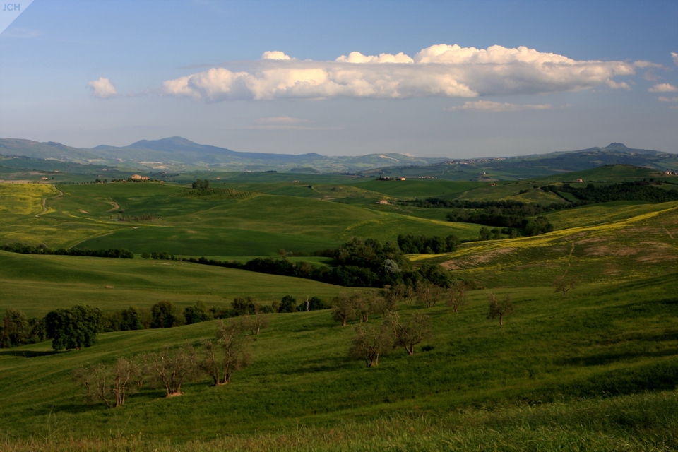 Zelená krajina II