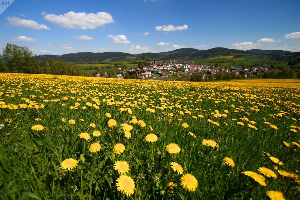 Kašperské Hory