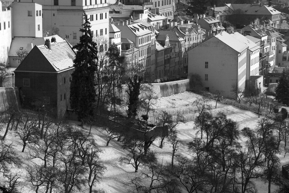 Podvečerní zahrada